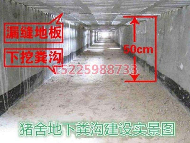 自動刮糞機